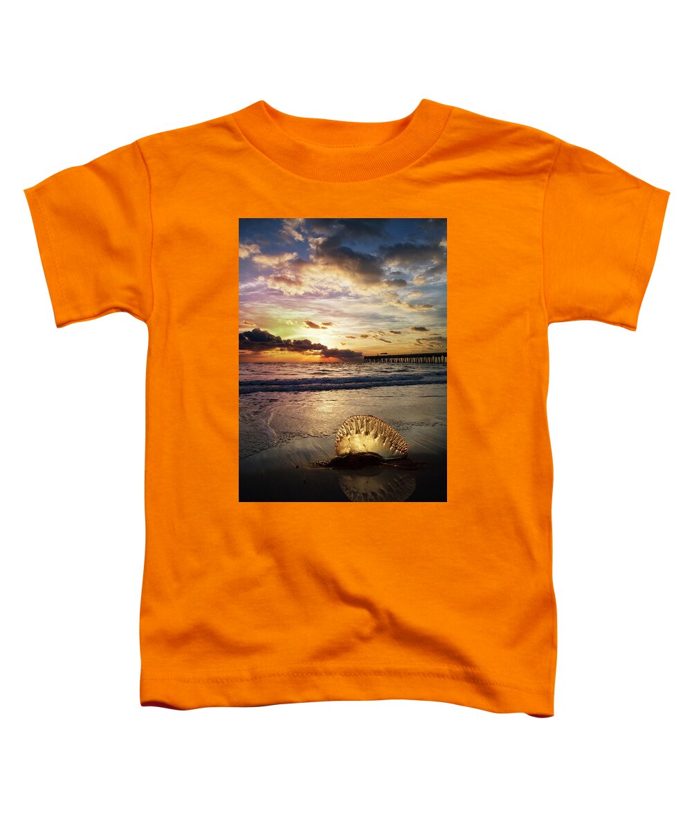 Animals Toddler T-Shirt featuring the photograph Peaceful Beauty by Debra and Dave Vanderlaan