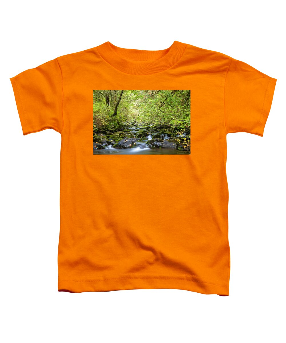 Willamette Valley Toddler T-Shirt featuring the photograph Peaceful Stream by Catherine Avilez