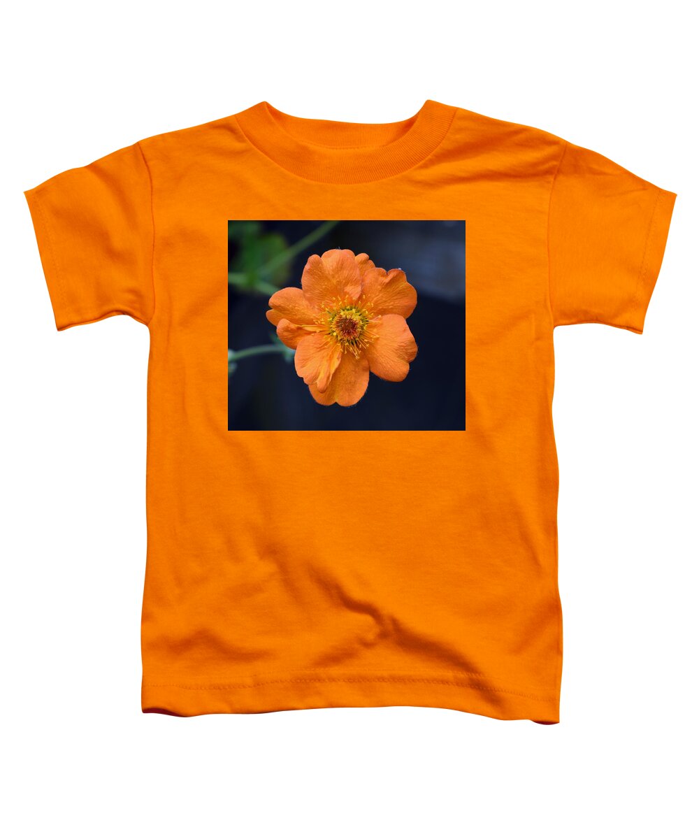 Flowers Toddler T-Shirt featuring the photograph Peachy Geum by Jimmy Chuck Smith