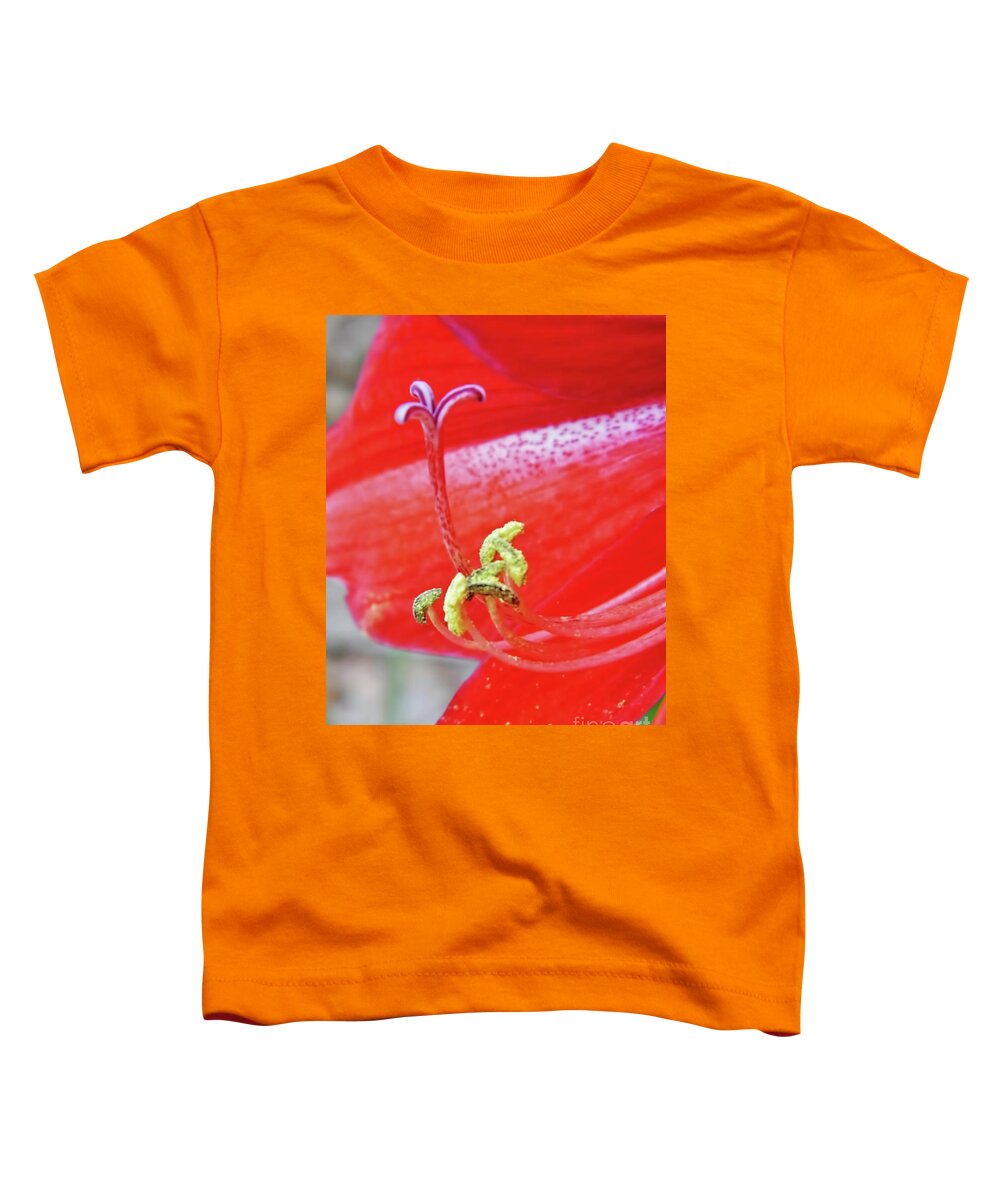 Amaryllis Toddler T-Shirt featuring the photograph Pollenated by D Hackett