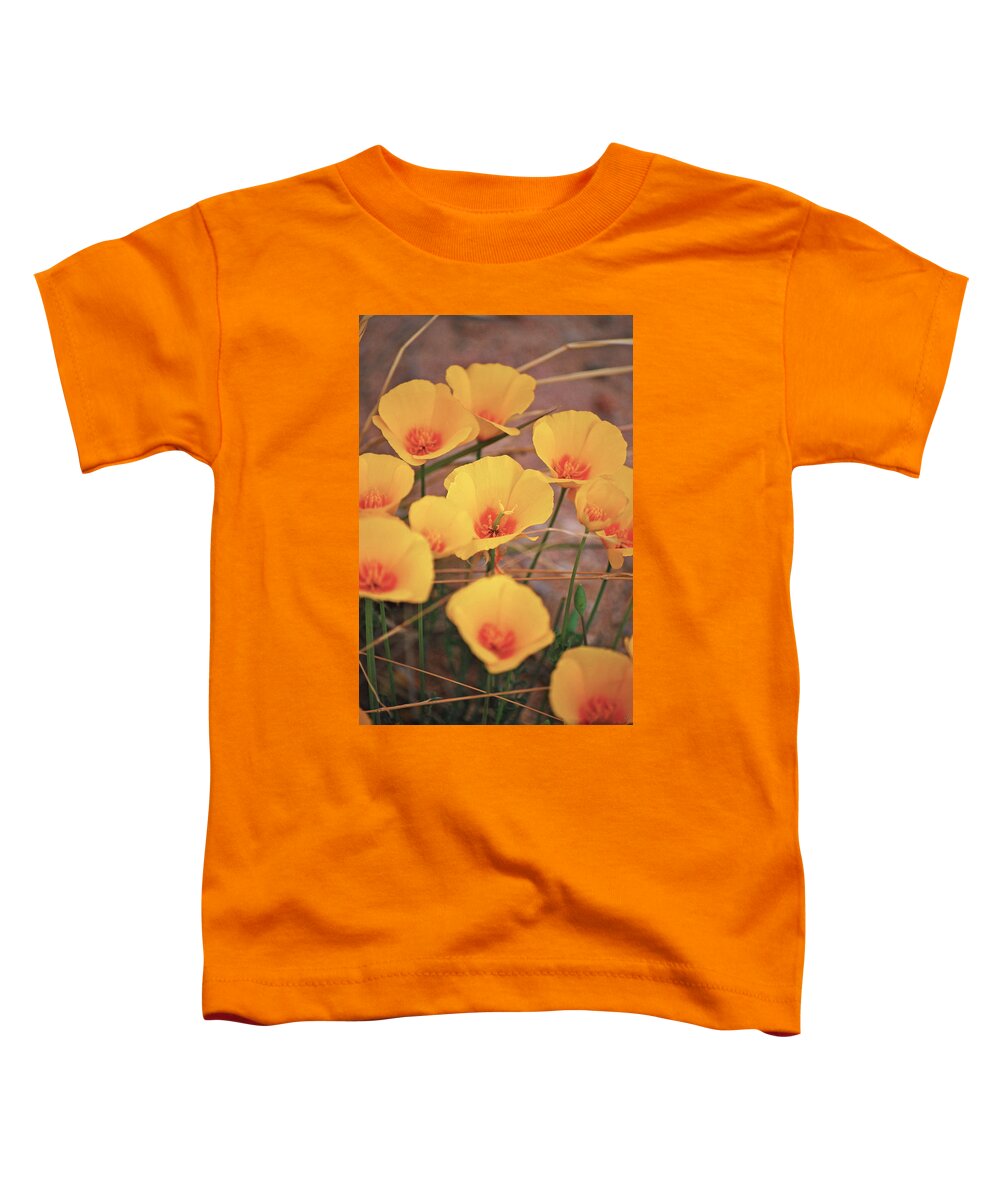 Fine Art Toddler T-Shirt featuring the photograph Poppies on Mount Lemmon by Donna Greene