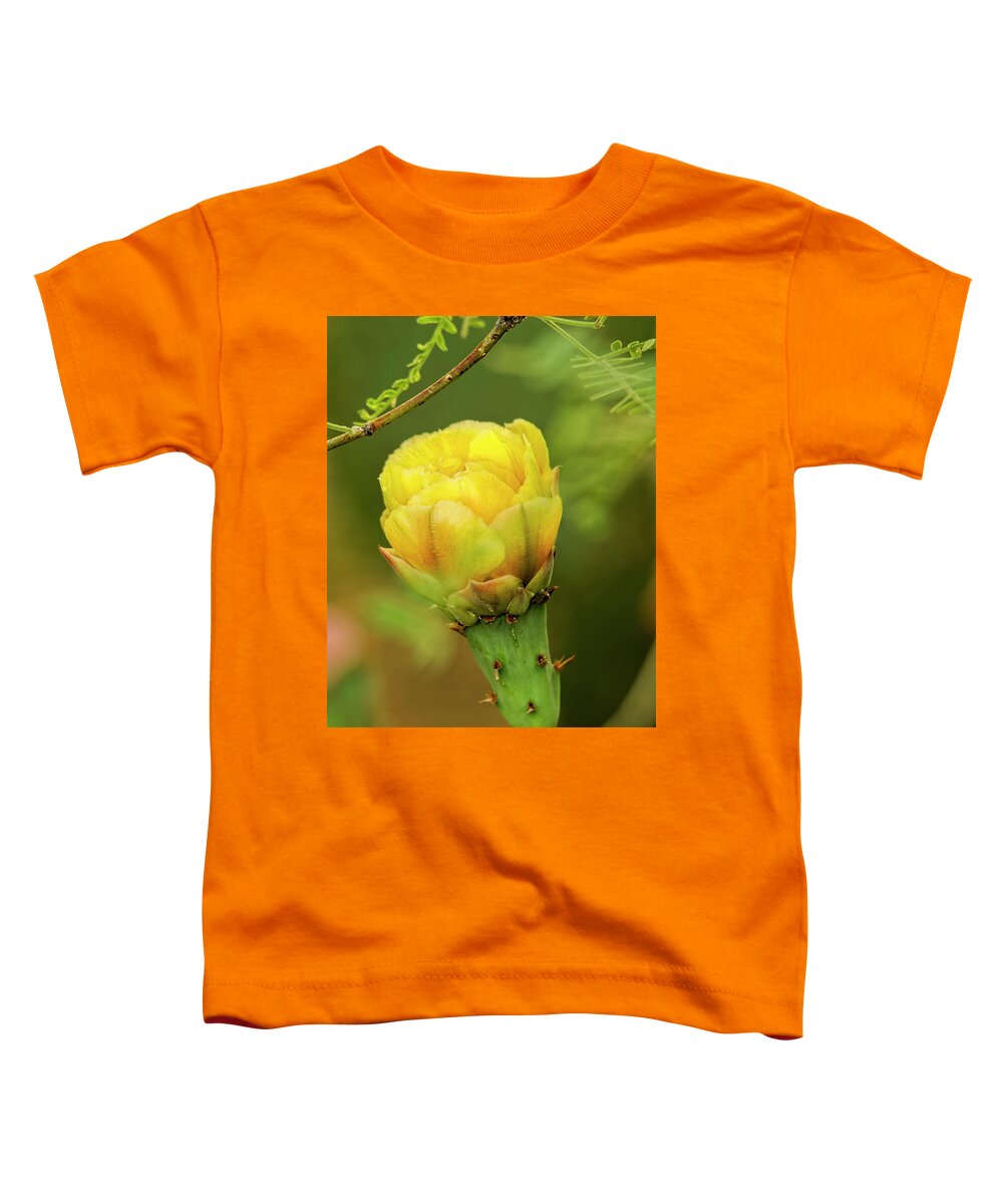 Myhaver Photography Toddler T-Shirt featuring the photograph Prickly Pear Flower v33 by Mark Myhaver