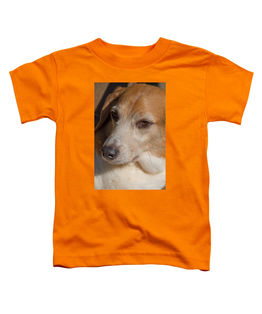 Photography Toddler T-Shirt featuring the photograph Puppum by Steven Natanson