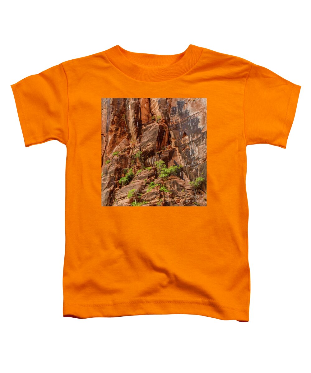 Bryce National Park Toddler T-Shirt featuring the photograph Rain Trails by Barry Bohn