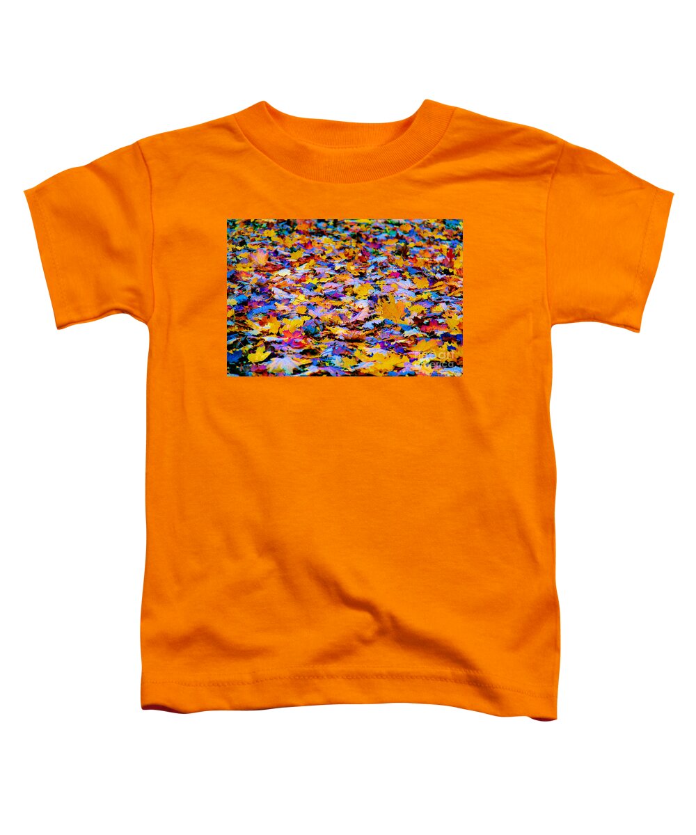 Rainbow Leaves Toddler T-Shirt featuring the photograph Rainbow Leaves by Mariola Bitner