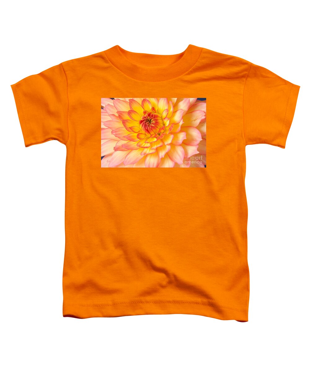 Dahlia Toddler T-Shirt featuring the photograph Red and yellow Dahlia by Colin Rayner