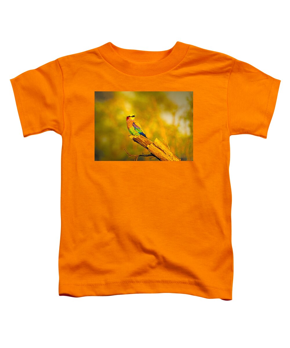 Birds Toddler T-Shirt featuring the photograph Roller by Patrick Kain
