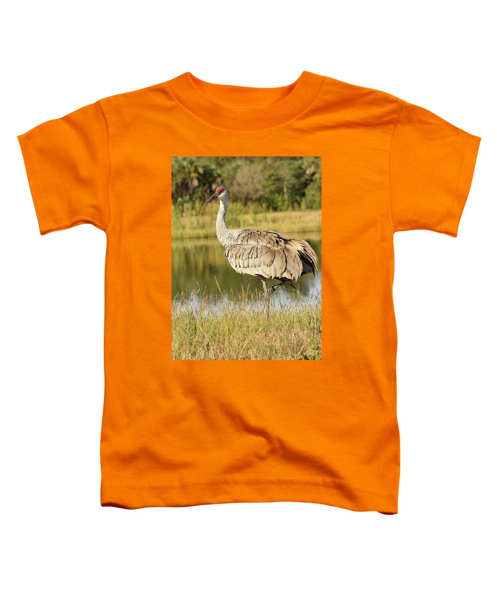 Crane Toddler T-Shirt featuring the photograph Sandhill Crane Standing Beside a Lake by Artful Imagery