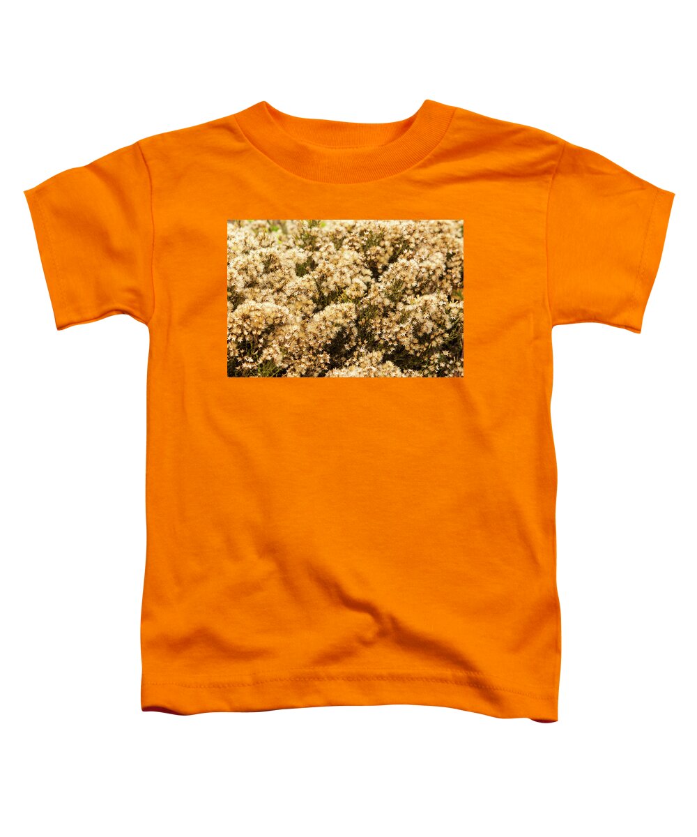 Foliage Toddler T-Shirt featuring the photograph Sea of flowers by Jason Hughes
