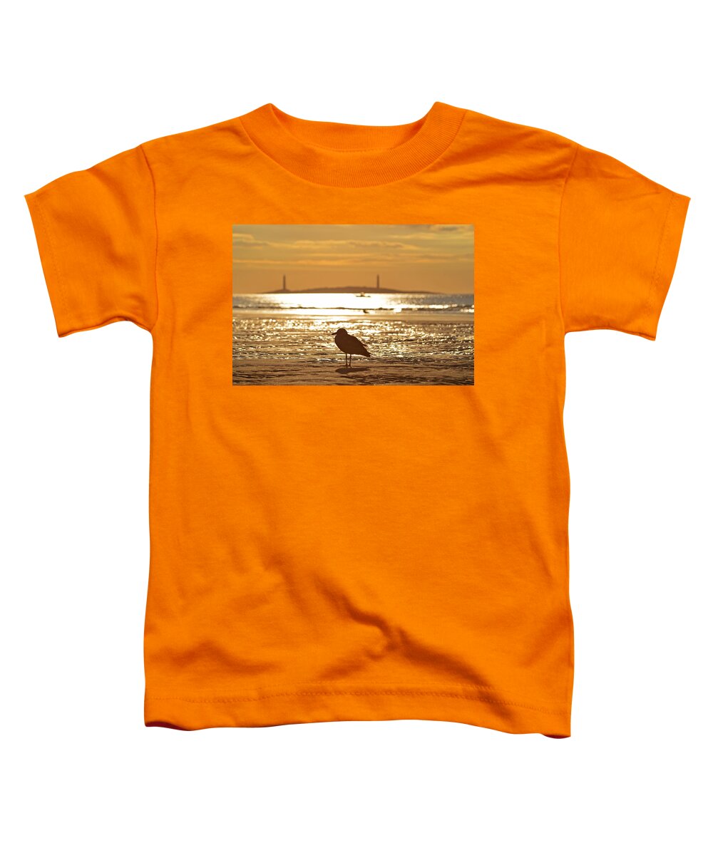 Gloucester Toddler T-Shirt featuring the photograph Seagull admiring Thacher Island Gloucester MA Good Harbor Beach by Toby McGuire