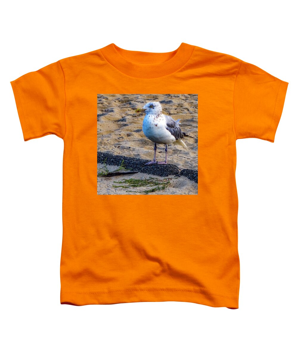  Toddler T-Shirt featuring the photograph See the gull by Kendall McKernon