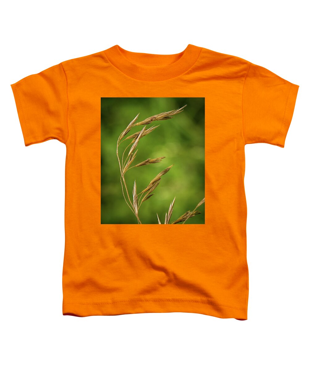 Grass Toddler T-Shirt featuring the photograph Seedhead by Michael Hall