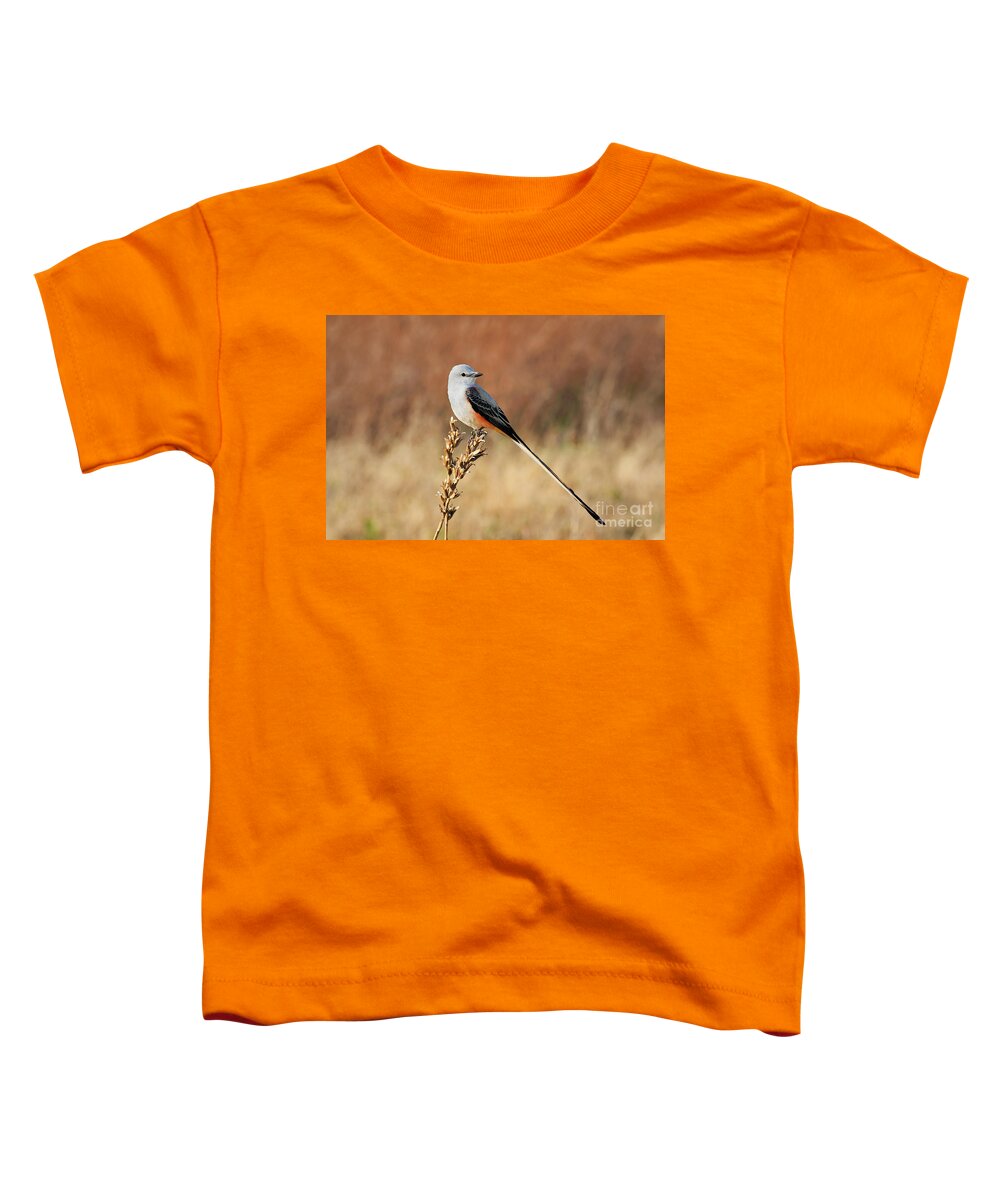 Scissor-tailed Flycatcher Toddler T-Shirt featuring the photograph Sissor-tailed Flycatcher 2 by Betty LaRue