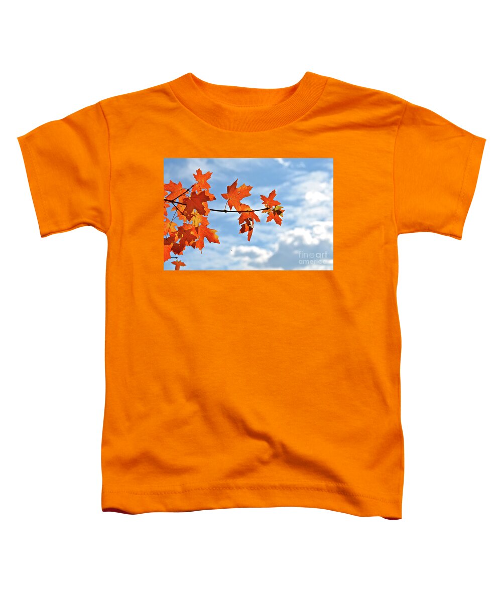 Orange Toddler T-Shirt featuring the photograph Sky View with Autumn Maple Leaves by Cindy Schneider