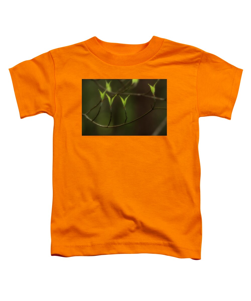 Spring Toddler T-Shirt featuring the photograph Spring Time by Mike Eingle