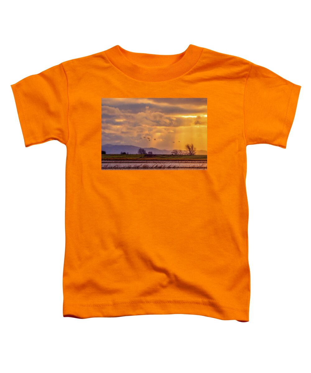 Landscape Toddler T-Shirt featuring the photograph Sun Rays and Sandhill Cranes by Marc Crumpler