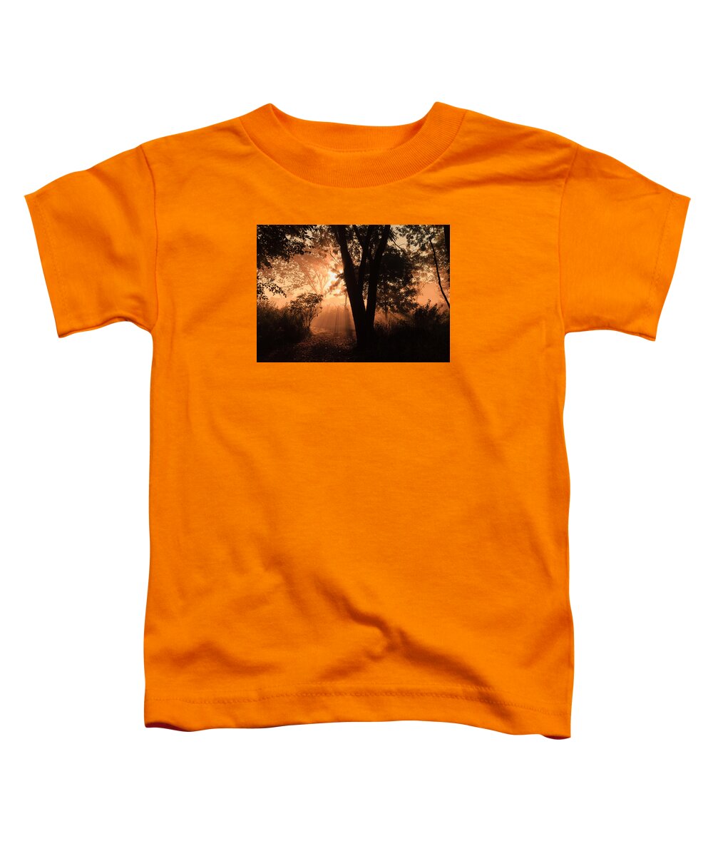 Illinois Toddler T-Shirt featuring the photograph Sunrise in the Marsh 3 by Joni Eskridge