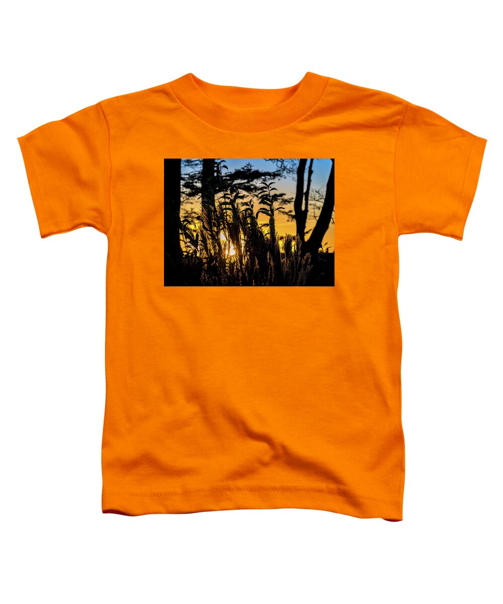 Orange Toddler T-Shirt featuring the photograph Sunset Silhouette by Mark Llewellyn