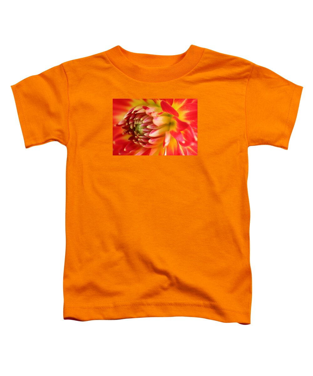 Flower Toddler T-Shirt featuring the photograph Sweet Spring by Robert Och