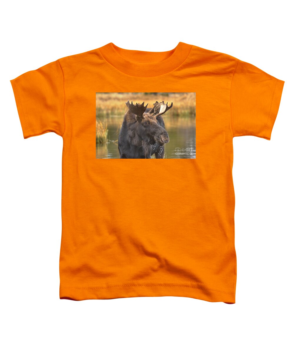 Moose Face Toddler T-Shirt featuring the photograph Moose Smile by Adam Jewell