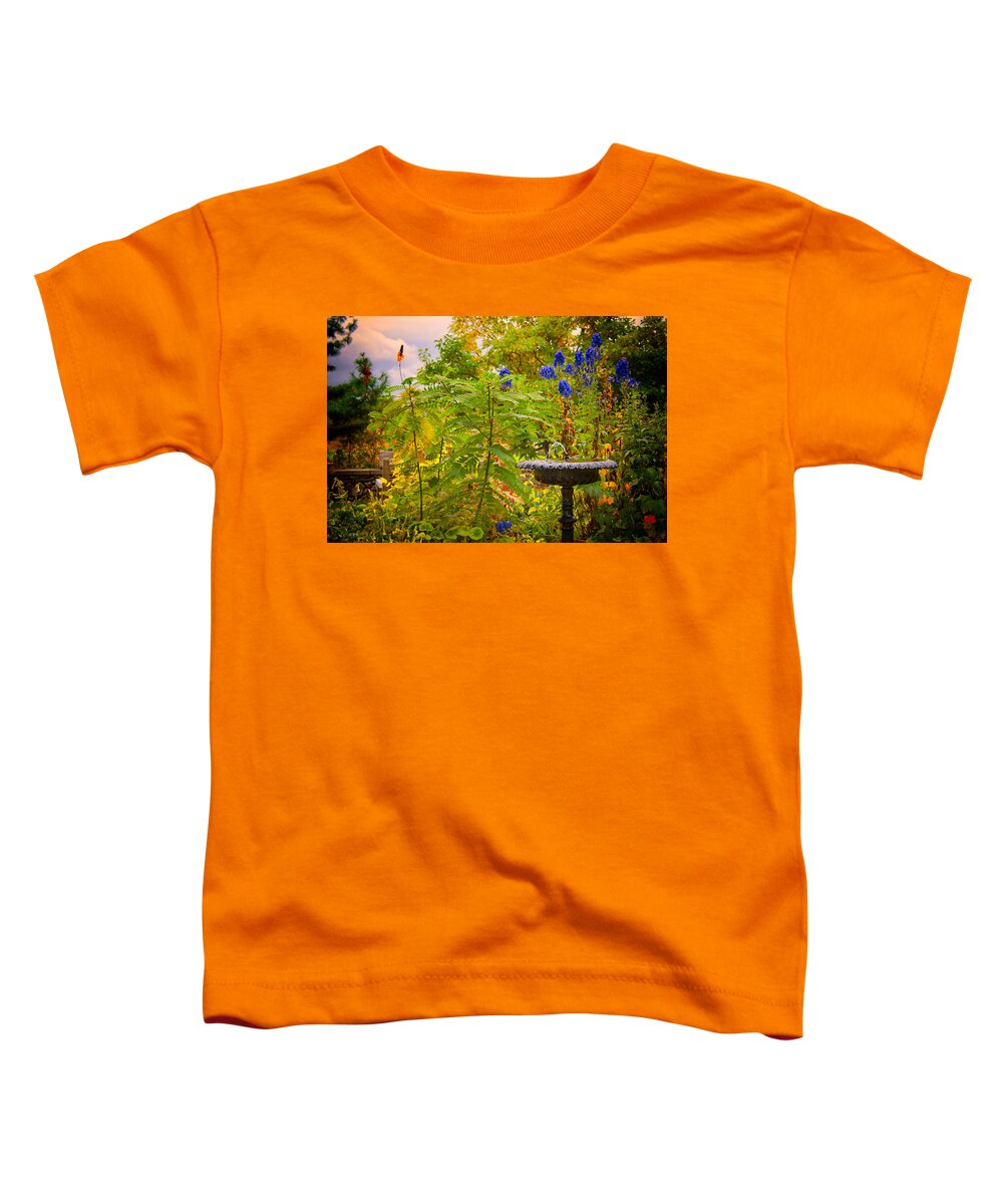 Fountain Toddler T-Shirt featuring the photograph The Gods Look On by Mike Smale