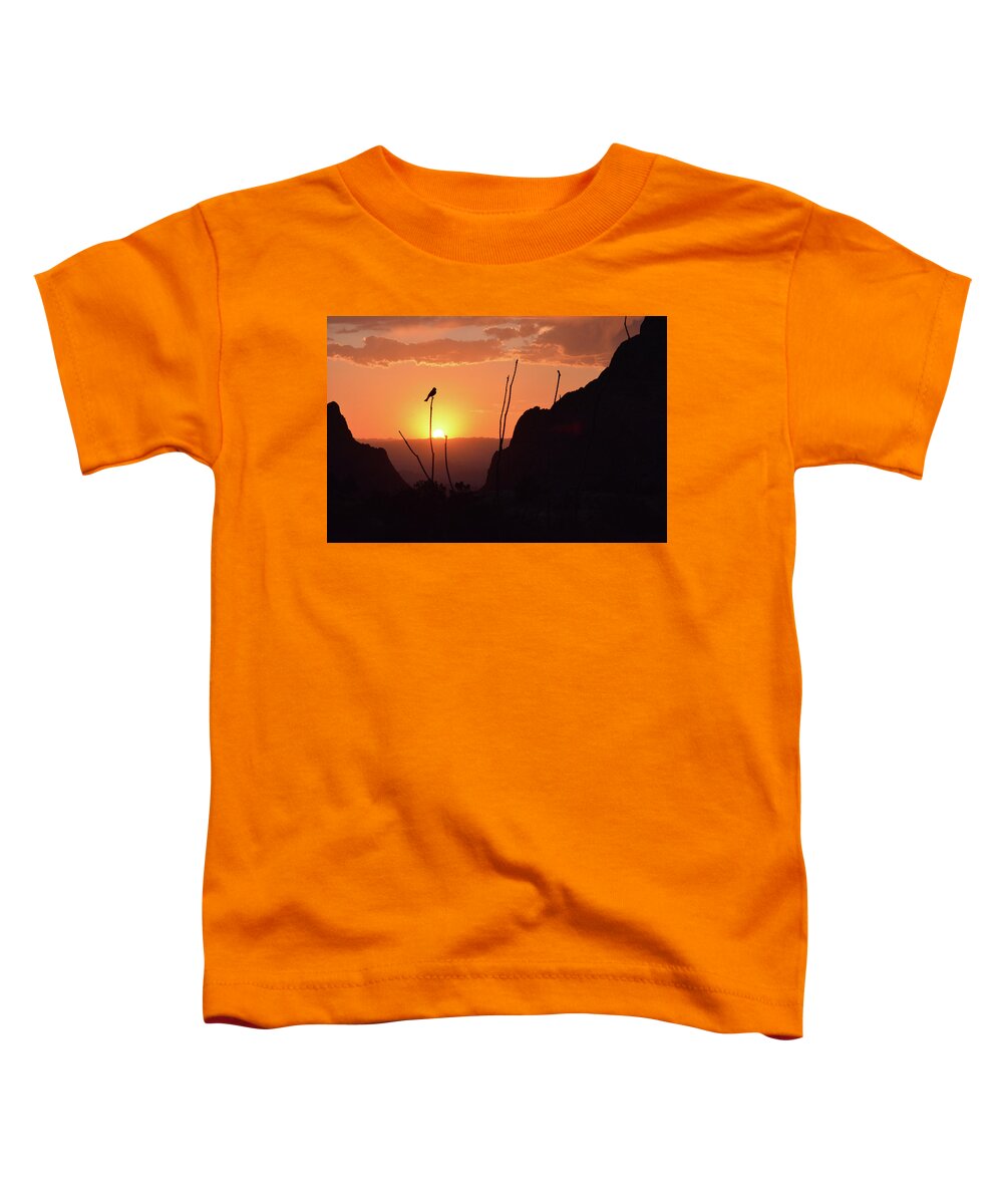 Sunset Toddler T-Shirt featuring the photograph The Window by Alan Lenk
