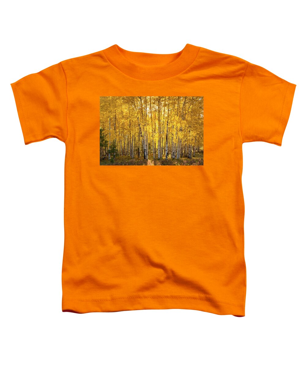 Aspen Grove Toddler T-Shirt featuring the photograph There's Gold In Them Woods by Saija Lehtonen