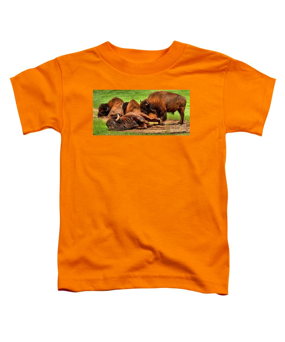 Bison Toddler T-Shirt featuring the photograph Too Much Grass by Adam Jewell