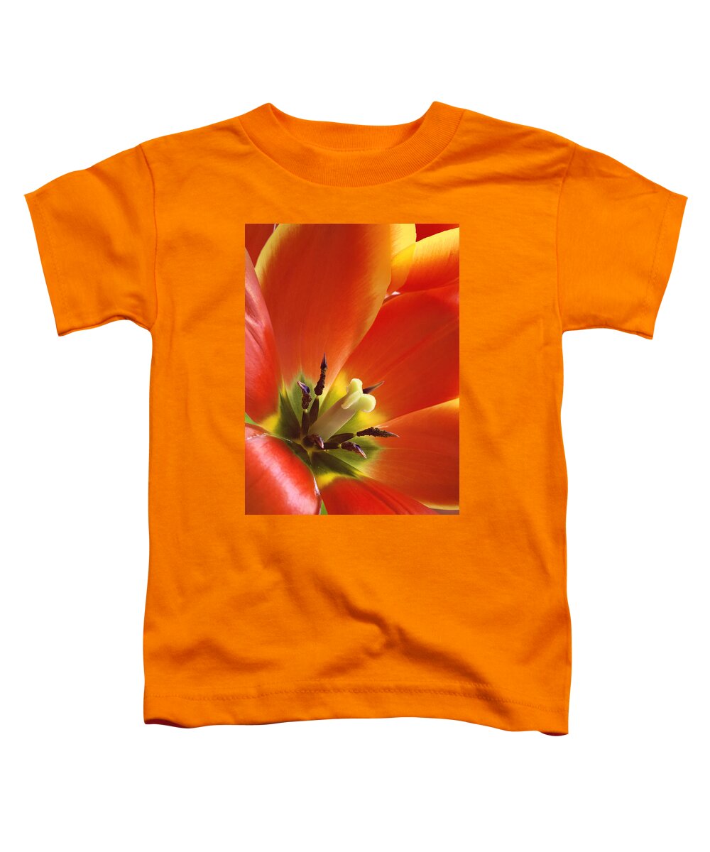 Orange Flower Toddler T-Shirt featuring the photograph Tuliplicious by Jill Love
