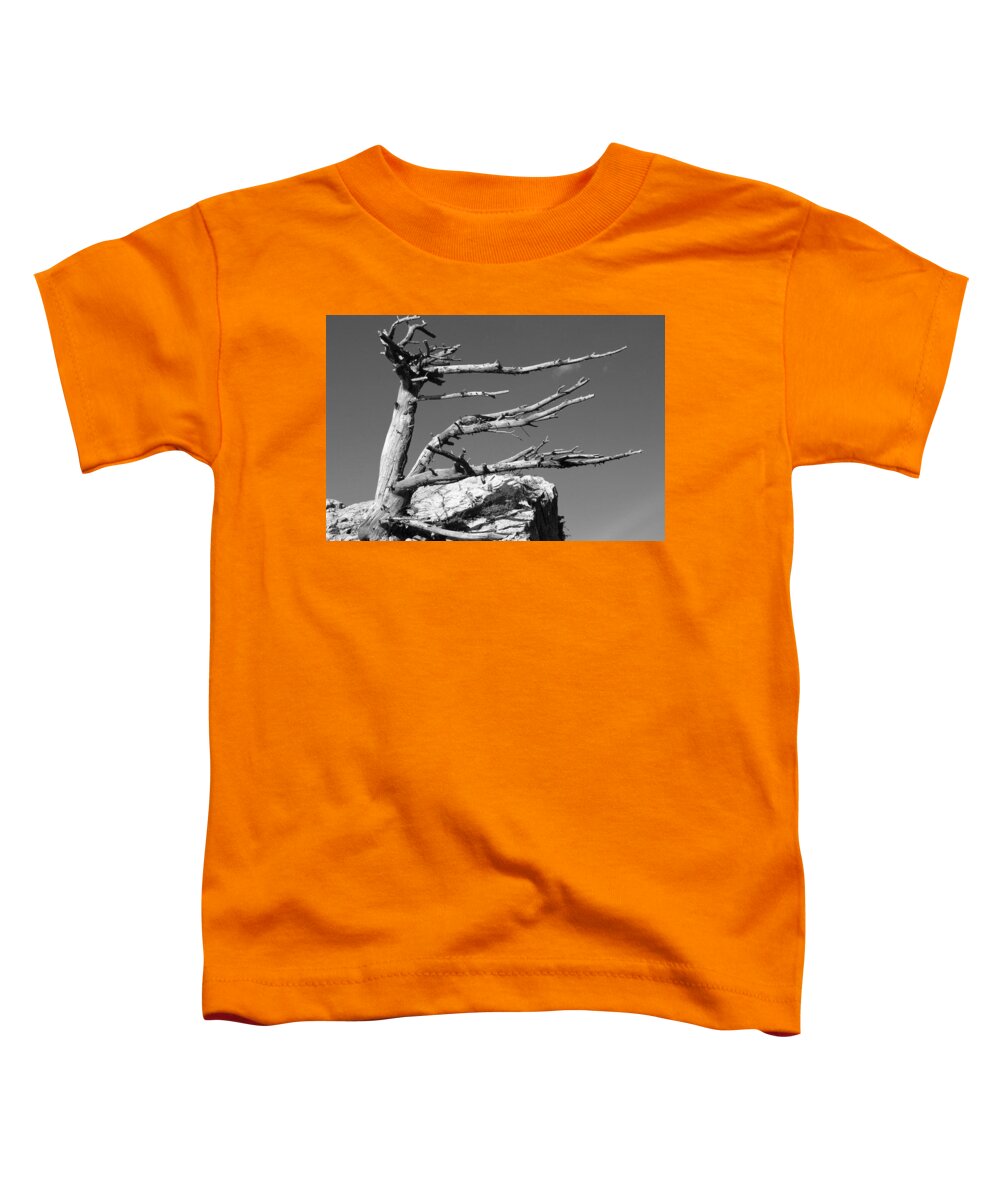 Glacier Toddler T-Shirt featuring the photograph Glacier National Park by William Rockwell