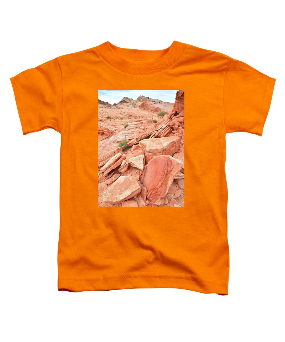 Valley Of Fire State Park Toddler T-Shirt featuring the photograph Wash 4 Color in Valley of Fire by Ray Mathis