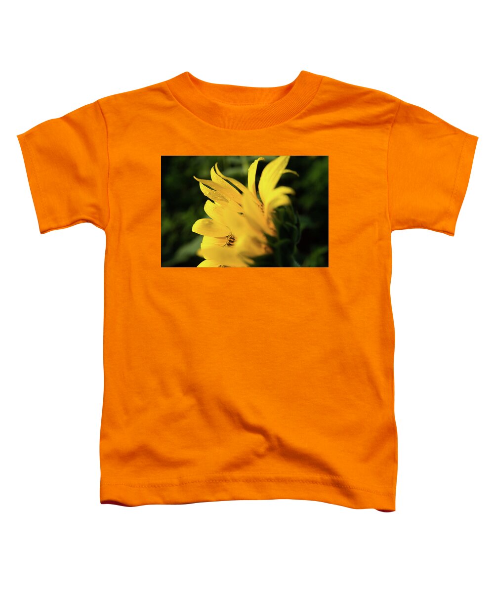 Bloom Toddler T-Shirt featuring the photograph Water Drops and Sunflower Petals by Dennis Dame