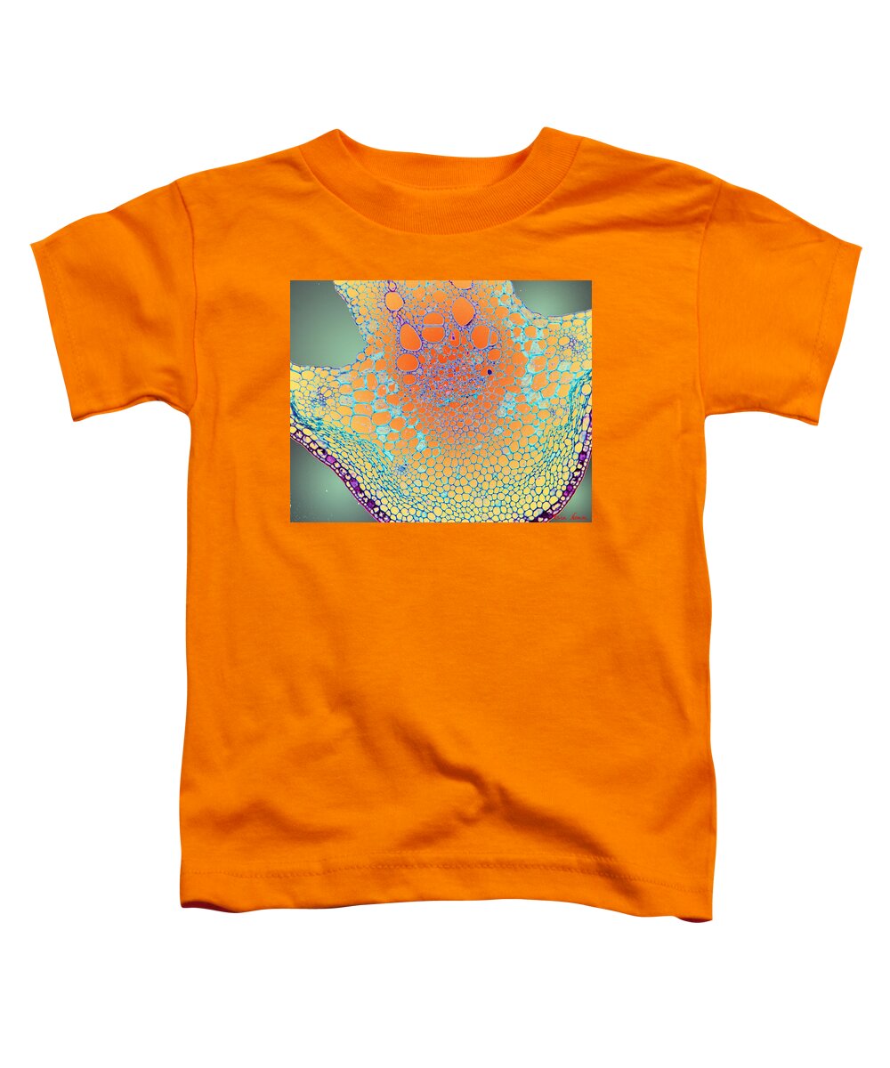 Microscopic Abstract Toddler T-Shirt featuring the photograph Water Lily Homage by Rein Nomm