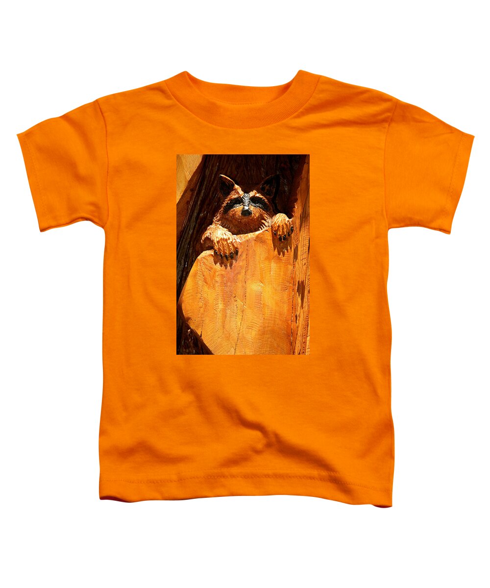 Usa Toddler T-Shirt featuring the photograph Wild Bandit by LeeAnn McLaneGoetz McLaneGoetzStudioLLCcom