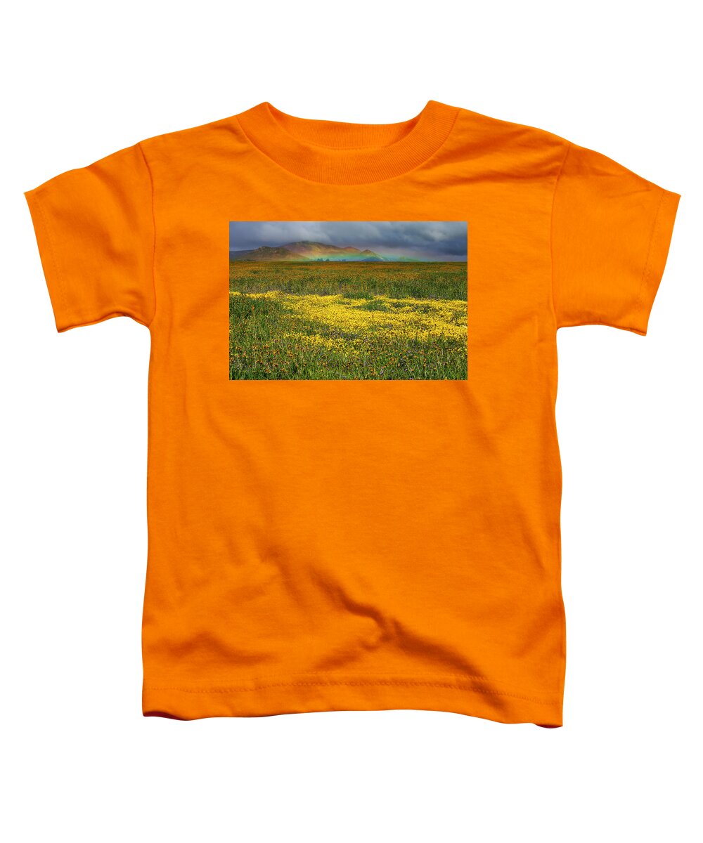 Carrizo Toddler T-Shirt featuring the photograph Wildflowers and Rainbow on the Carrizo Plain by Rick Pisio