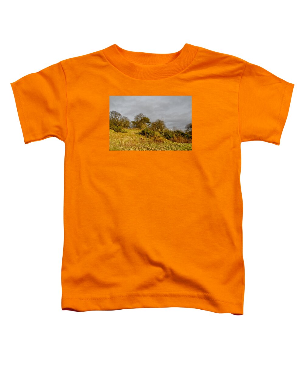 Grass Toddler T-Shirt featuring the photograph Winter grass on the hill. by Elena Perelman