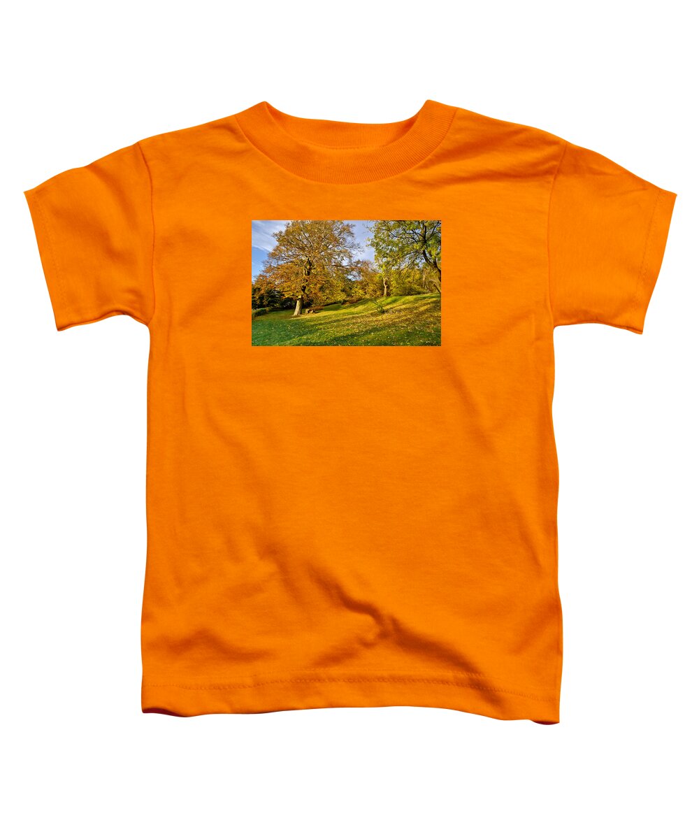 Scotland Toddler T-Shirt featuring the photograph Yellow autumn. by Elena Perelman