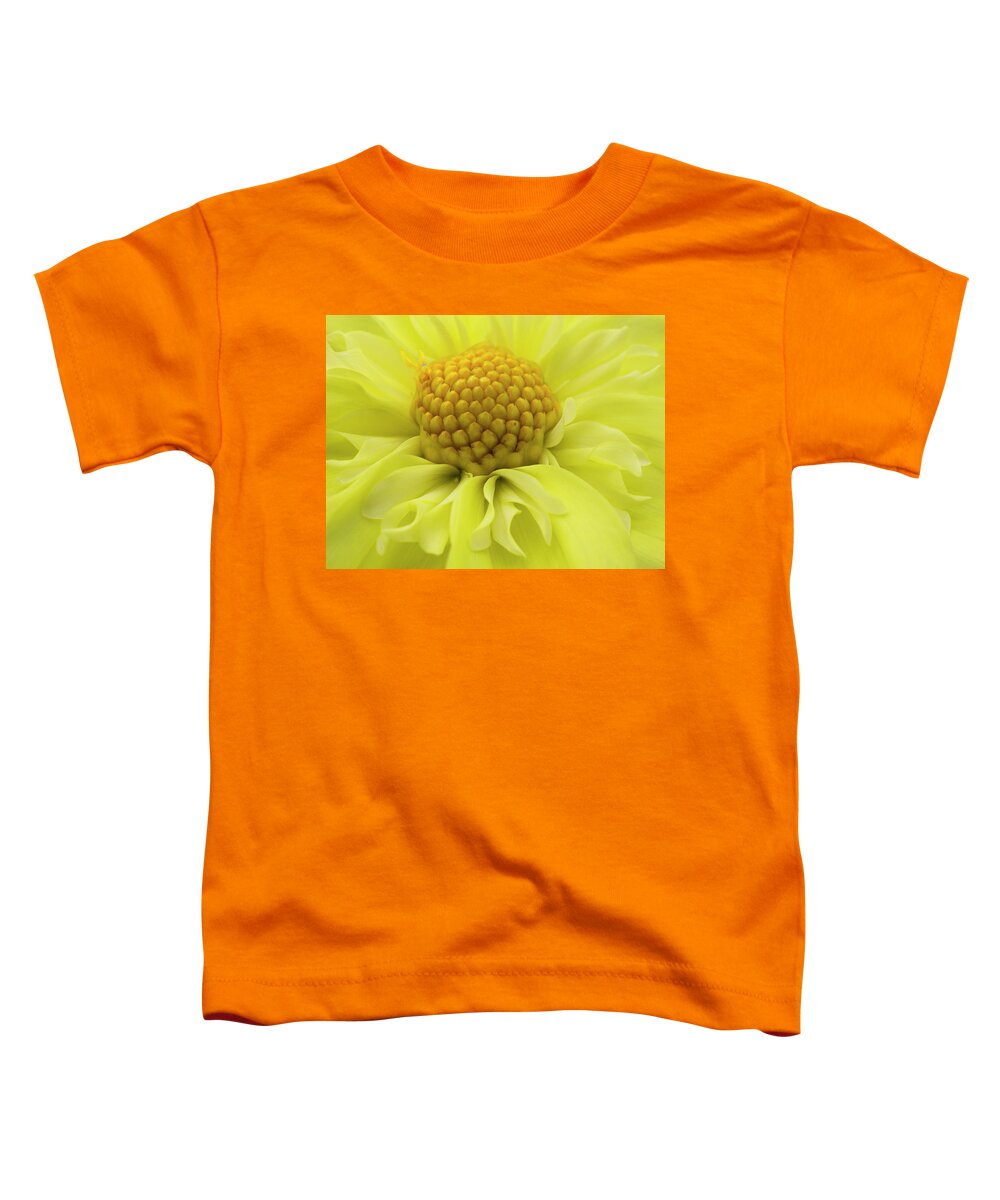 Dahlia Toddler T-Shirt featuring the photograph Yellow beauty by Inge Riis McDonald