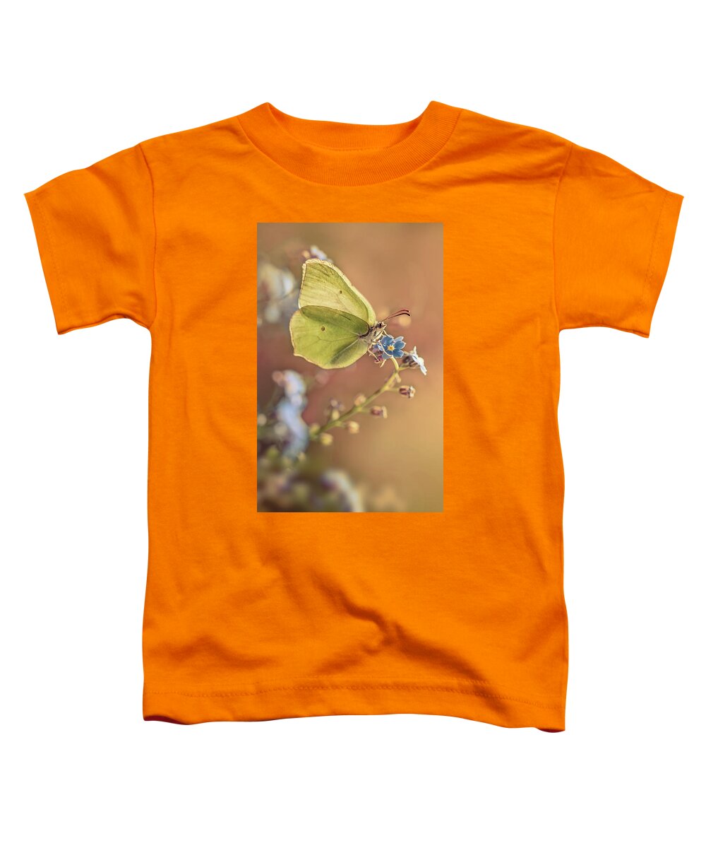 Macrophotography Toddler T-Shirt featuring the photograph Yellow butterfly on forget me not flowers by Jaroslaw Blaminsky