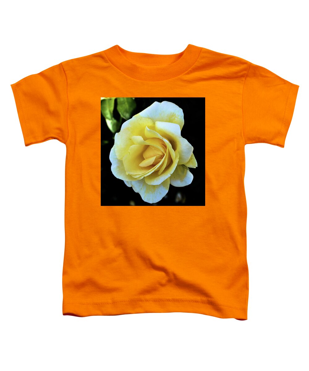 Flowers Toddler T-Shirt featuring the photograph Yellow Rose by Charles HALL