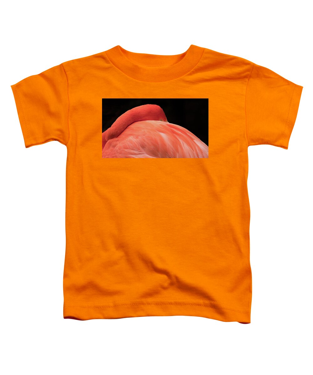 Flamingo Toddler T-Shirt featuring the photograph You Can Learn A Lot By Watching by Holly Ross