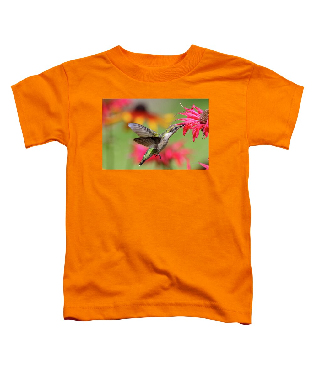 Hummingbird Toddler T-Shirt featuring the photograph Hummingbird And Bee Balm 6 #1 by Brook Burling