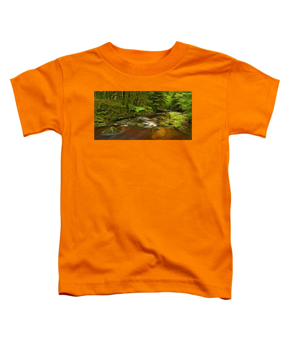 Reelig Glen Toddler T-Shirt featuring the photograph Reelig Glen #17 by Gavin MacRae