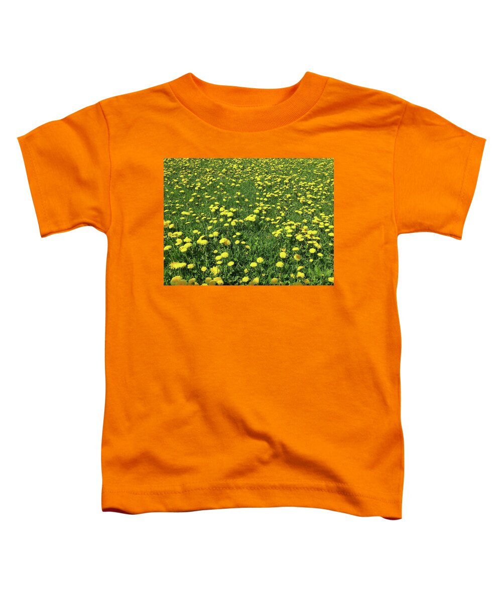 Flowers Toddler T-Shirt featuring the photograph A Field of Dandelions by Boyd Carter