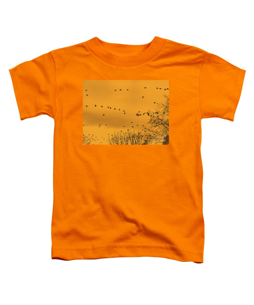 Canadian Geese Toddler T-Shirt featuring the photograph A Winters Sky by Scott Cameron