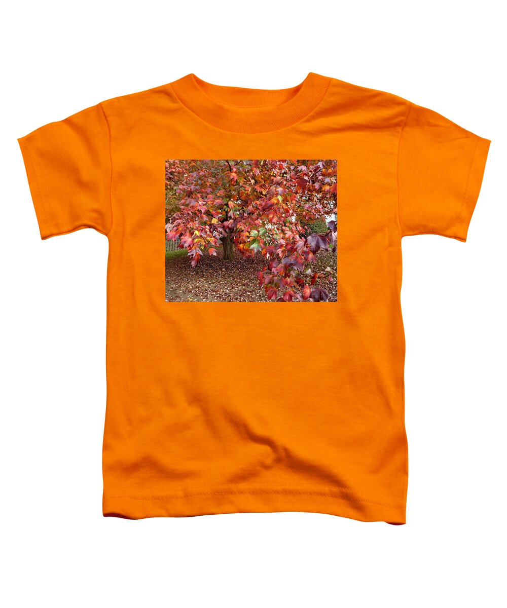 Fall Toddler T-Shirt featuring the photograph All Colors Welcome by Lyuba Filatova