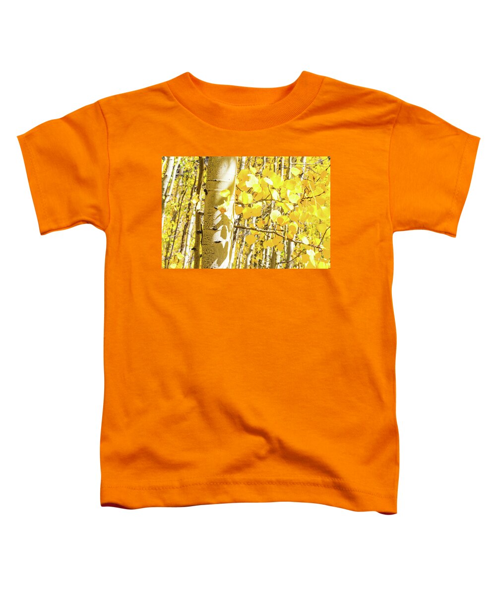 Aspen Trees Toddler T-Shirt featuring the photograph Aspen Yellow by Joe Kopp