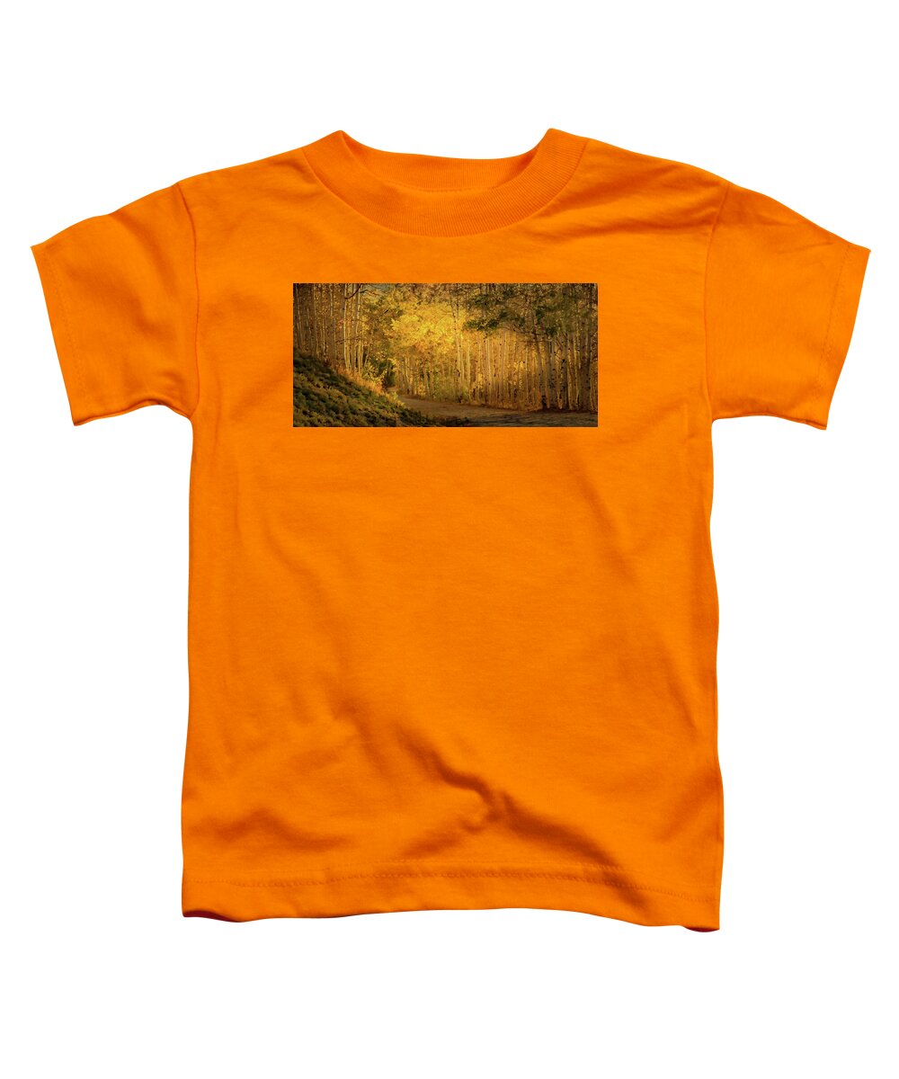 Aspen Trees Toddler T-Shirt featuring the photograph Aspens in the Fading Sunlight by Don Schwartz