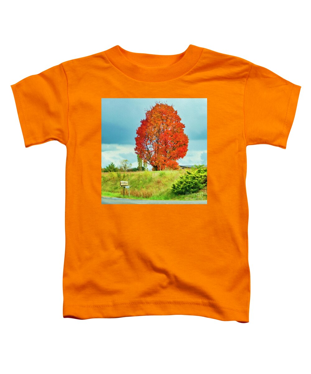 Virginia Toddler T-Shirt featuring the photograph Autumn in Virginia by Lenore Locken