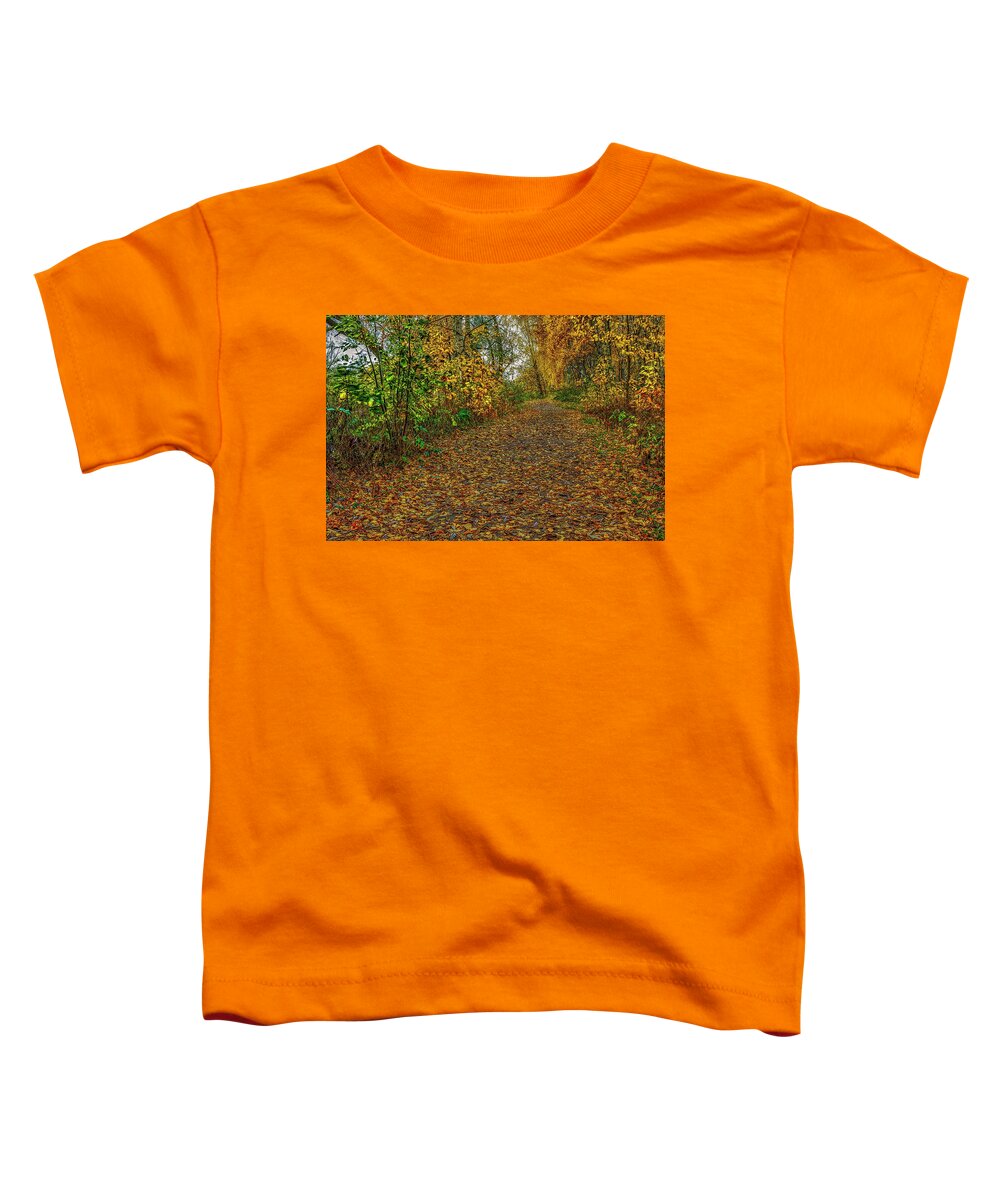 Autumn On Path Toddler T-Shirt featuring the photograph Autumn on path #j2 by Leif Sohlman